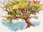 Jan Kilburn original watercolor, "The Leaning Tree"