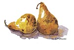Jan Kilburn print from original watercolor, "Pair of Pears"